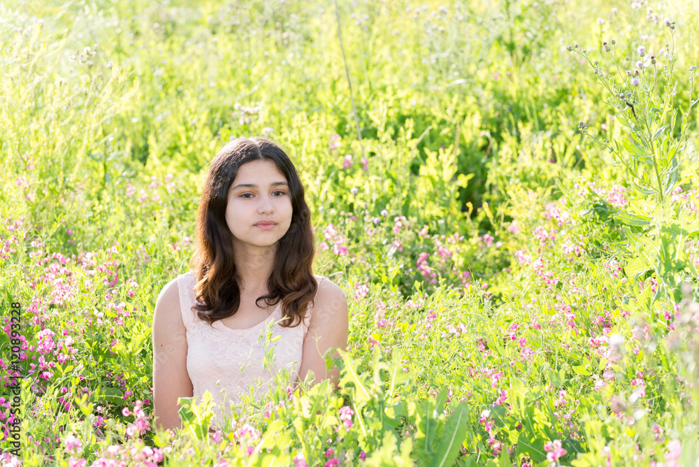 Modest well-groomed girl on summer meadow Modest well-groomed girl on summer meadow