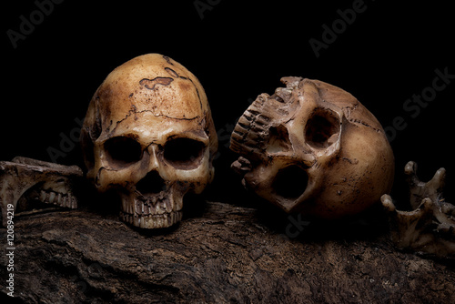 Still life painting photography with two human skulls