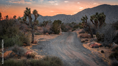 Sunset on the Mohave Desert landscape in Yucca Valley, California photo