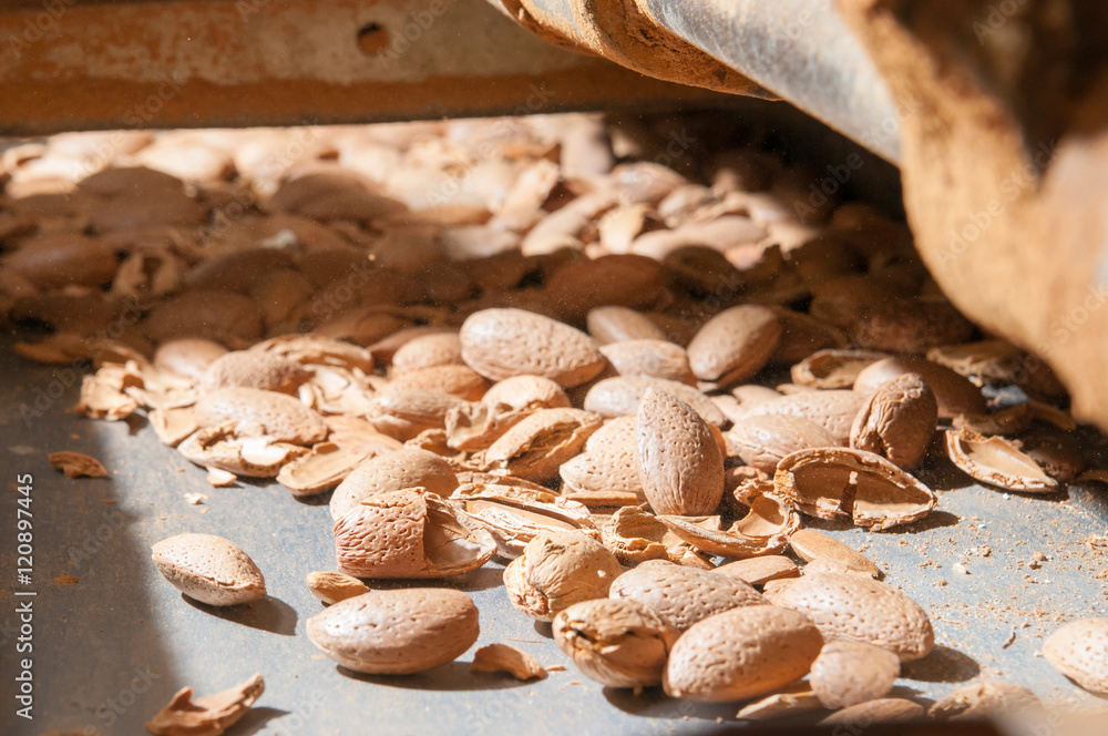 Almonds in the lift for the cracking process