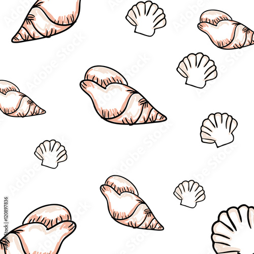 sea shell decoration. summer vacation symbol. vector illustration