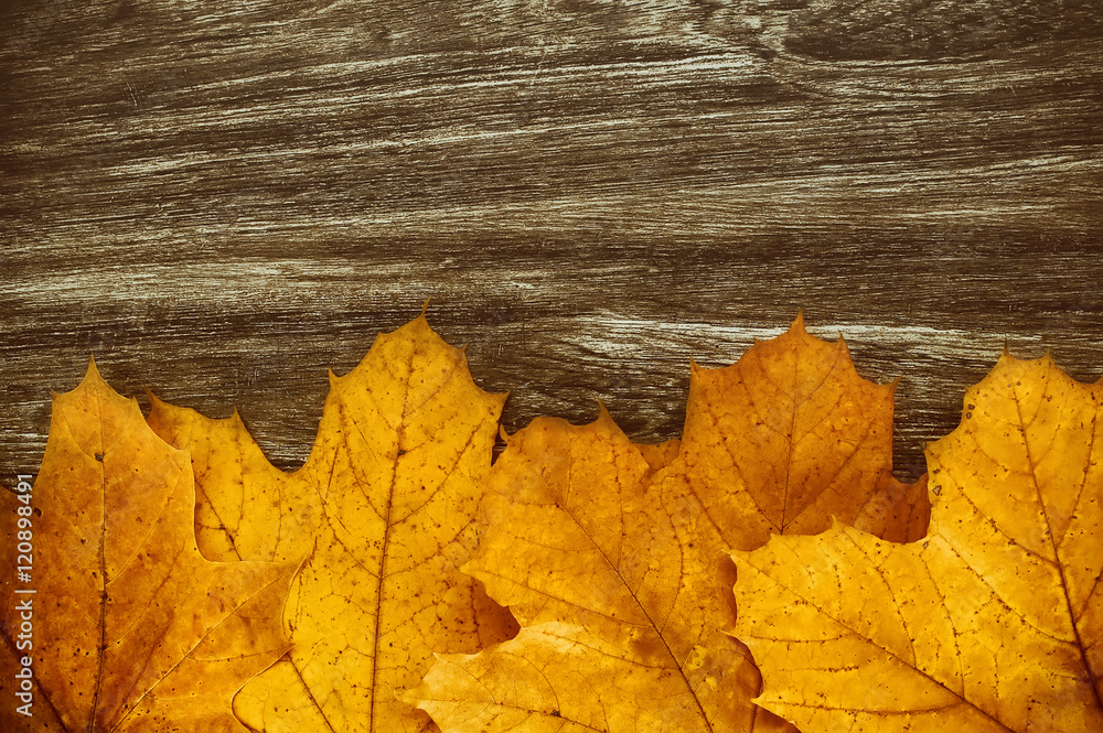 colorful yellow and red leaves on wooden desk. vintage autumn background colorful yellow and red leaves on wooden desk. vintage autumn background