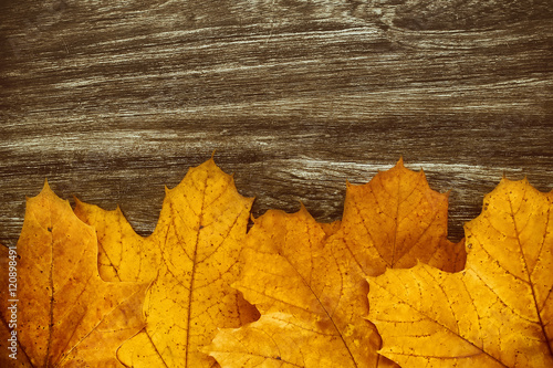 colorful yellow and red leaves on wooden desk. vintage autumn background