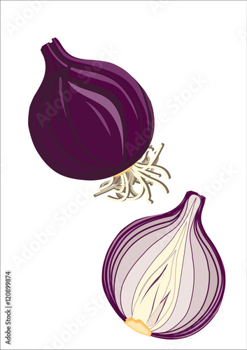 fresh red onion