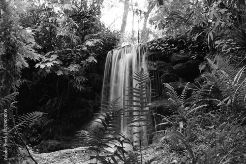 Waterfall flowing down Moss covered rocks in the Springtime