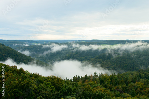 Foggy green forest on a mountain slope