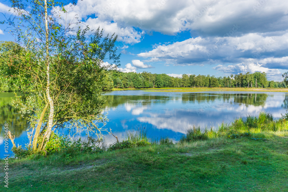 water landscape view with trees and water reflection water landscape view with trees and water reflection
