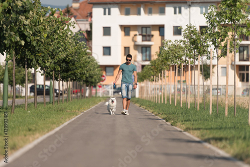 Young Man Walking Dog Through Park