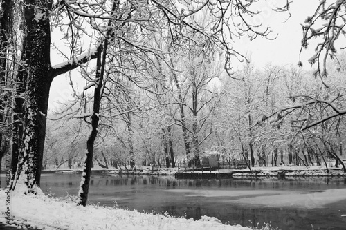 Wallpaper Mural Snowing landscape in the park Torontodigital.ca