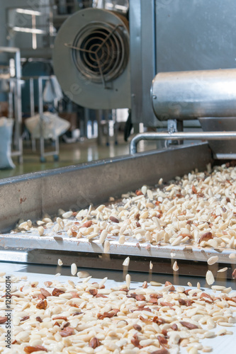 Shelled almonds in the carriage for the peeling process in a modern factory
