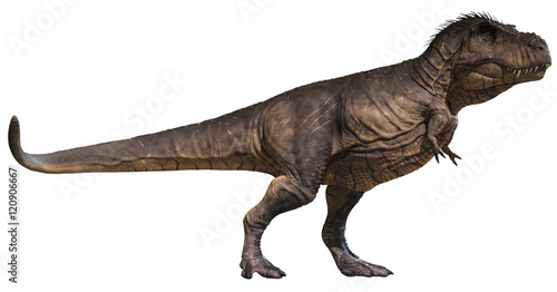 3D rendering of Tyrannosaurus Rex standing tall, isolated on white background. © Herschel Hoffmeyer