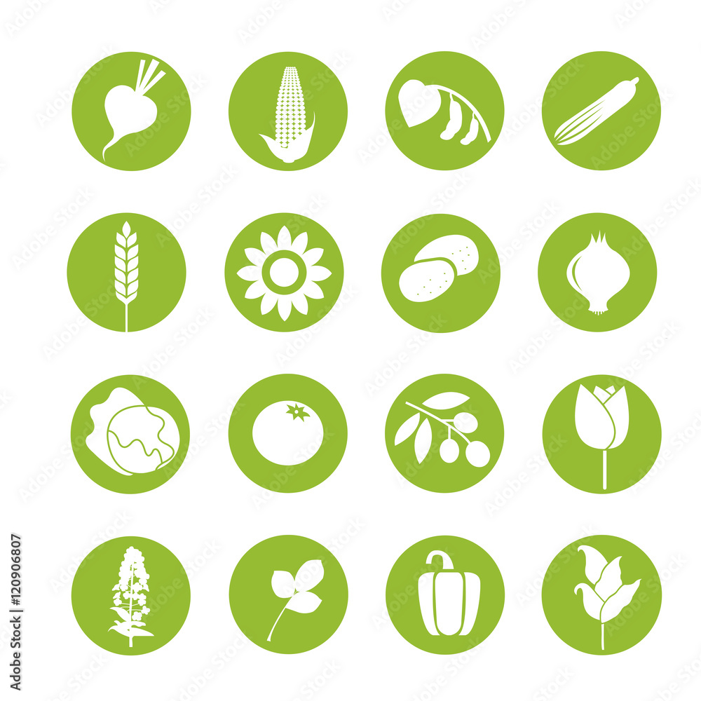 Vegetable pictograms. Vector vegetable symol Vegetable pictograms. Vector vegetable symol