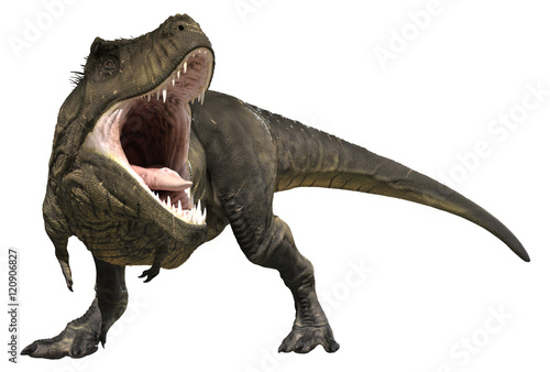 3D rendering of Tyrannosaurus Rex roaring  isolated on white background.