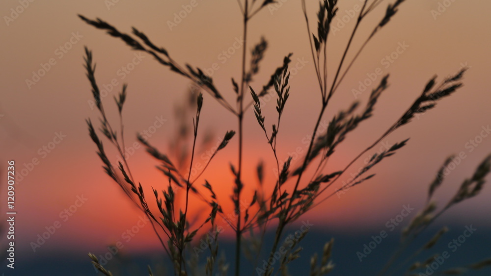 Obraz premium Letzte Sonne