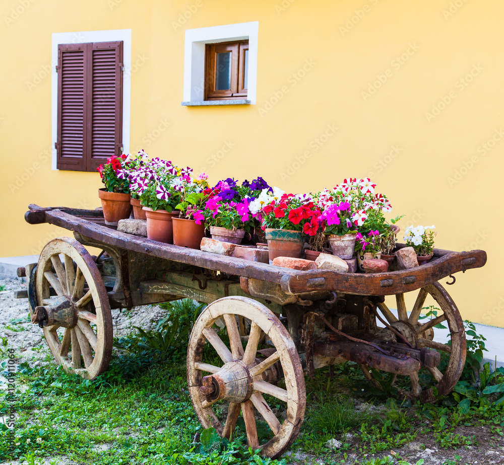 Tuscany flowers