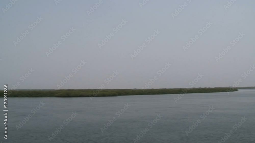 Mangrove lanscape in Senegal