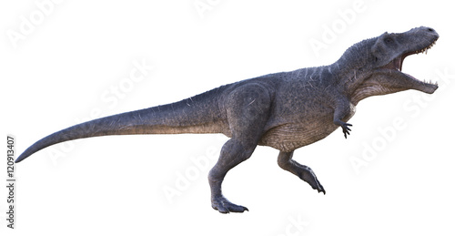 3D rendering of Tyrannosaurus Rex being aggressive, isolated on a white background. © Herschel Hoffmeyer