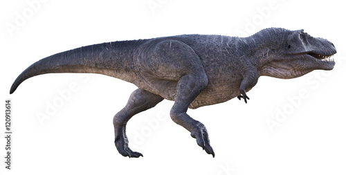 3D rendering of Tyrannosaurus Rex on the move  isolated on a white background.