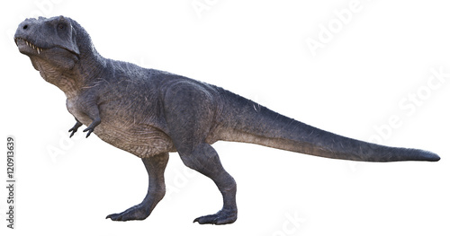 3D rendering of Tyrannosaurus Rex standing tall, isolated on a white background. © Herschel Hoffmeyer