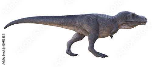 3D rendering of Tyrannosaurus Rex walking  isolated on a white background.