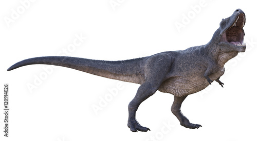 3D rendering of Tyrannosaurus Rex roaring  isolated on a white background.