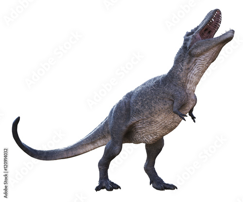 3D rendering of Tyrannosaurus Rex howling  isolated on a white background.
