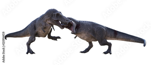 3D render of a Tyrannosaurus Rex biting the head of a contender, isolated on a white background. © Herschel Hoffmeyer