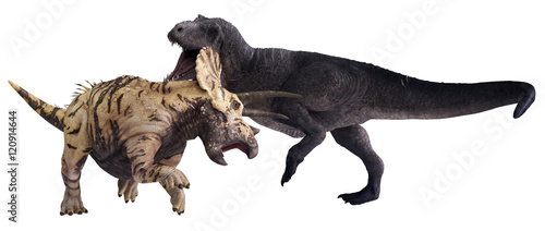 3D rendering of Tyrannosaurus Rex facing off against Triceratops horridus, isolated on a white background. © Herschel Hoffmeyer