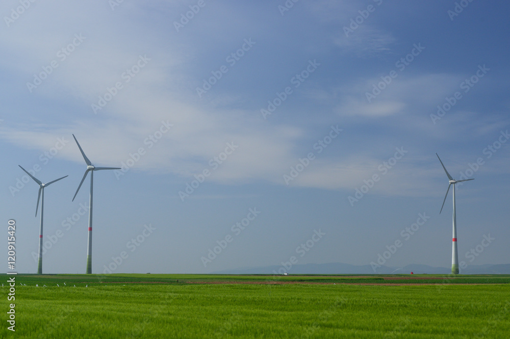 meadow with Wind power turbines generating electricity meadow with Wind power turbines generating electricity