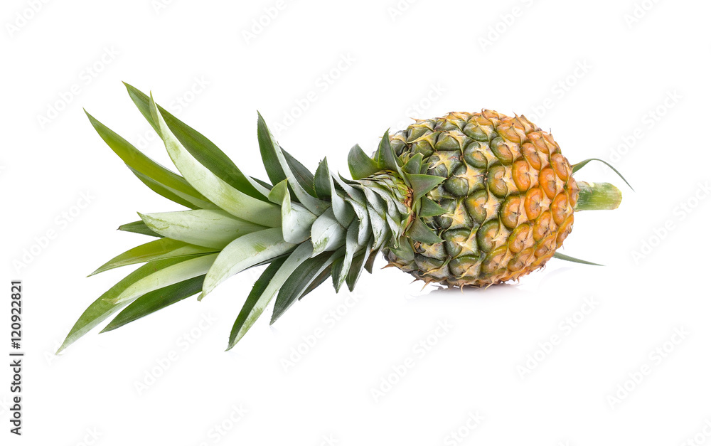 ripe pineapple isolated on white background ripe pineapple isolated on white background