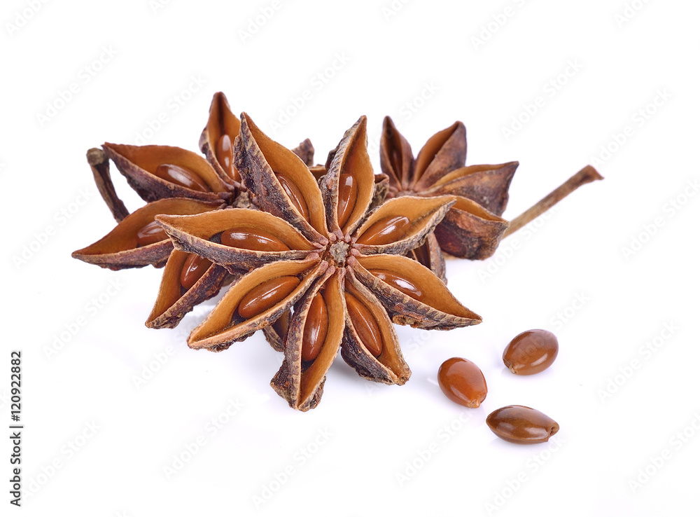 Fototapeta premium Star anise spice fruits and seeds isolated on white background