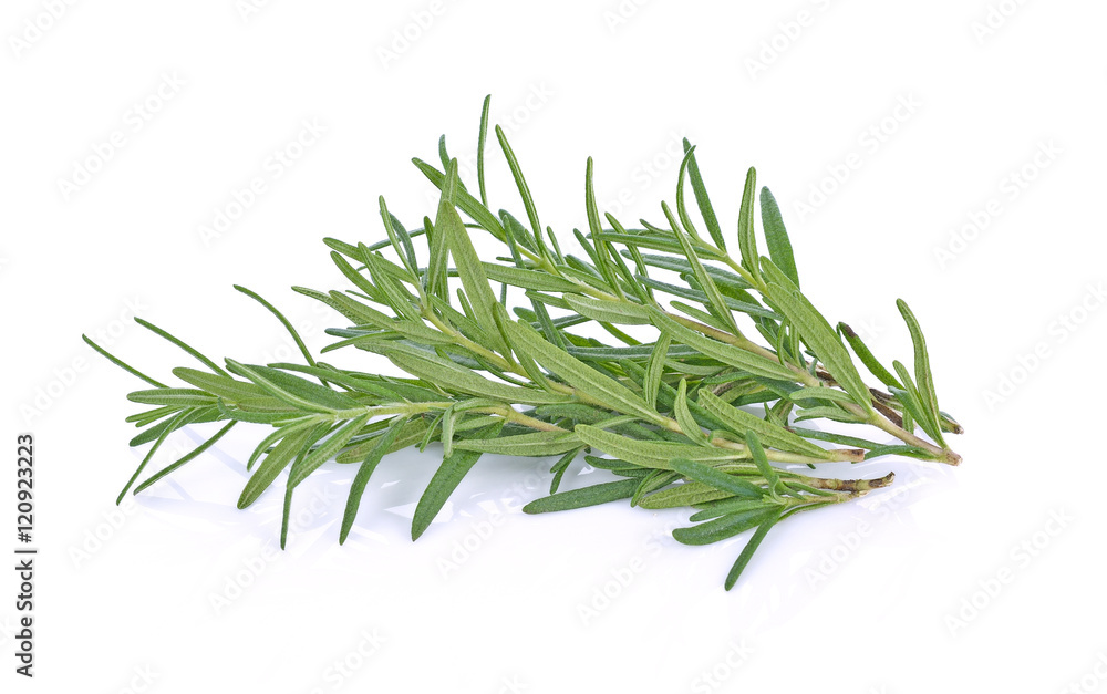 rosemary