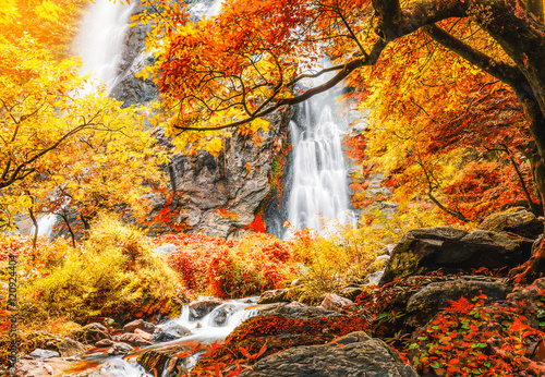 Beautiful waterfall in autumn forest with red and yellow leaves