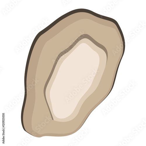 Fresh mussel gastronomy ingredient on white background. Shellfish nutrition nature food freshness mussels. Dinner cooked mussels gourmet healthy cuisine seafood gastronomy ingredient vector.