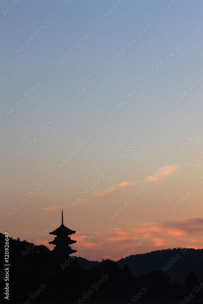 Fototapeta premium 備中国分寺の朝