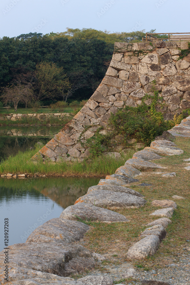 Fototapeta premium 萩城跡 