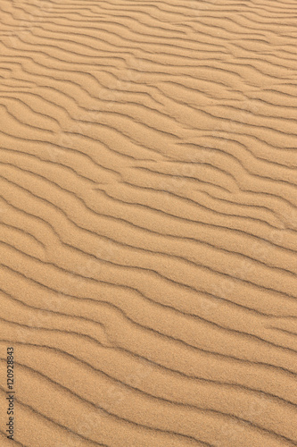鳥取砂丘の風紋