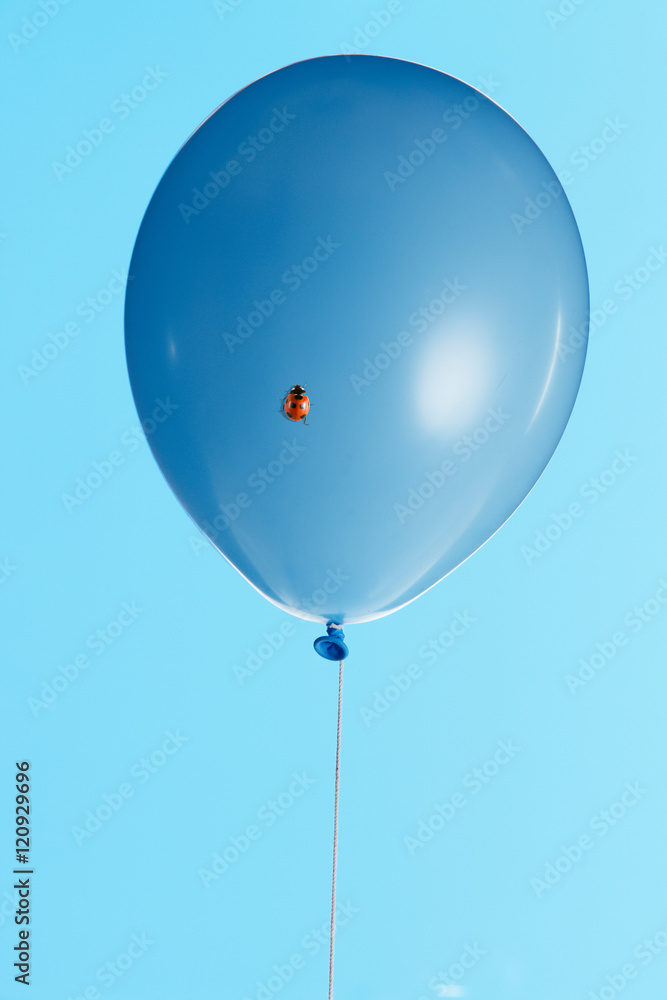 風船と天道虫 Stock Photo Adobe Stock