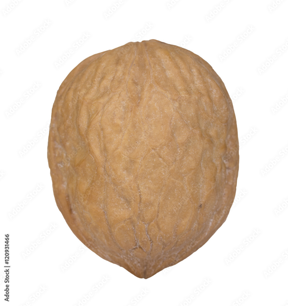 Naklejka premium Close-up of Walnut on the white background