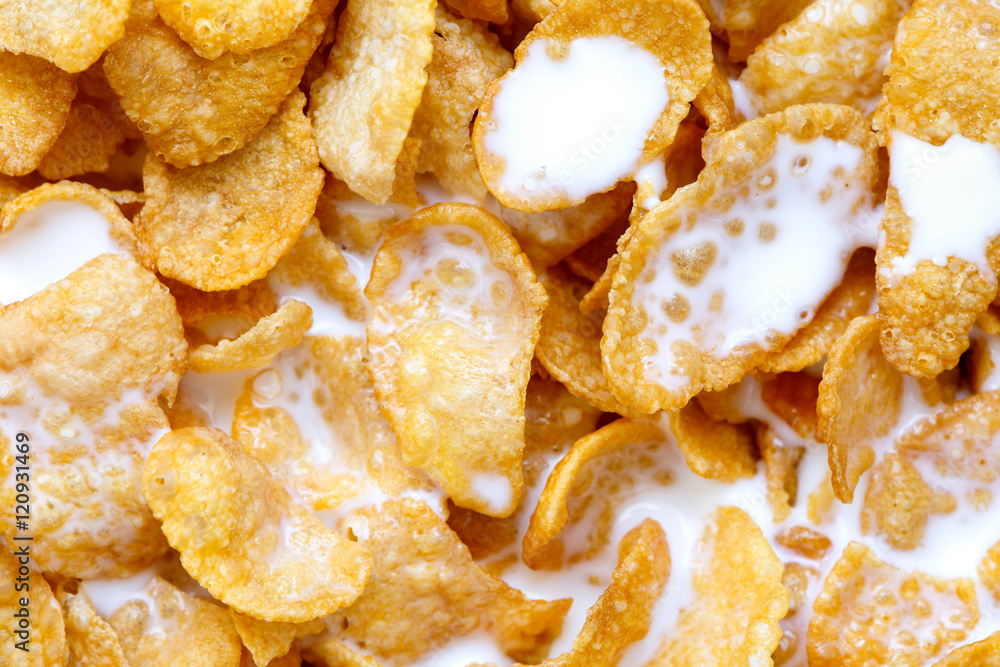 Background of cornflakes in milk from above. Background of cornflakes in milk from above.