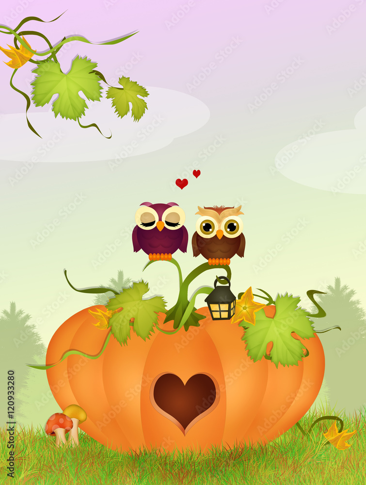 Keuken achterwand met owls on the pumpkin in a heart shape #120933280