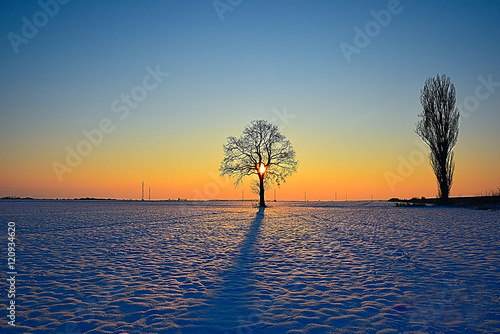 Sunset on the fields of Slavonia, on a beautiful winter idyll. 