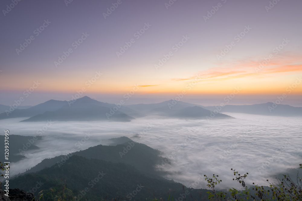 Morning and fog cover mountain at Doi Pha Tang