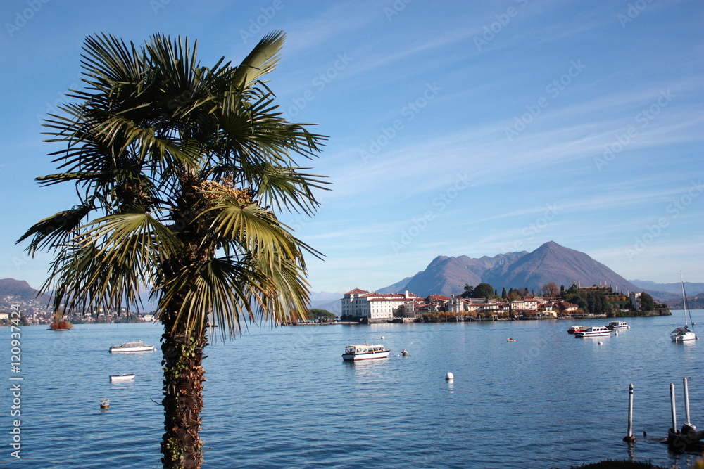 Palms at Lake Maggiore view from Stresa to Isola Bella, Piedmont Italy