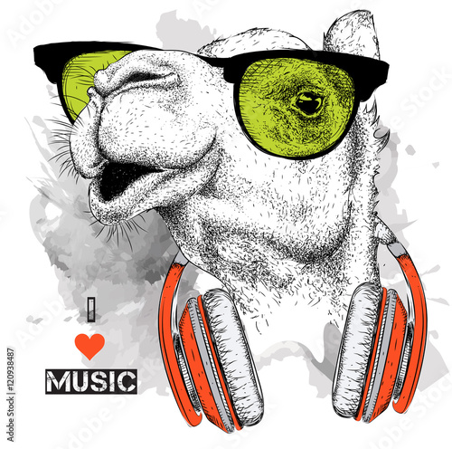 The image of the camel in the glasses, headphones and in hip-hop hat. Vector illustration.