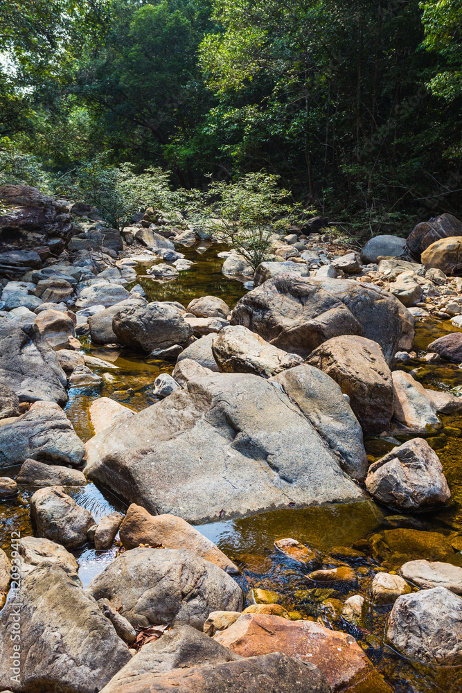 Stream in the tropical jungles of South East Asia Stream in the tropical jungles of South East Asia