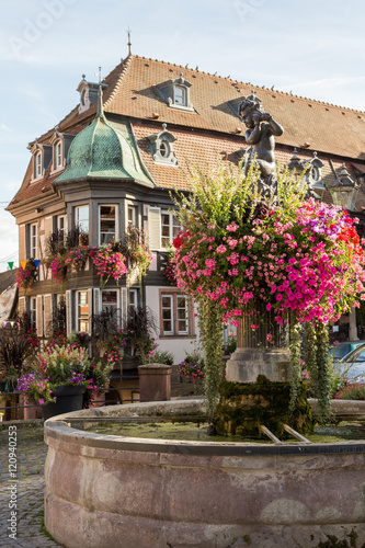 Fontaine et maison fleurie