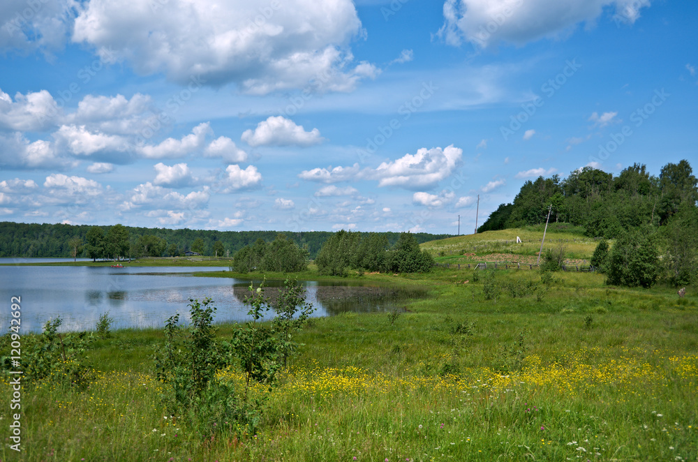 Obraz premium Russian summer meadow