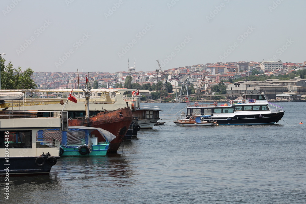 Fototapeta premium Istanbul and Bosporus