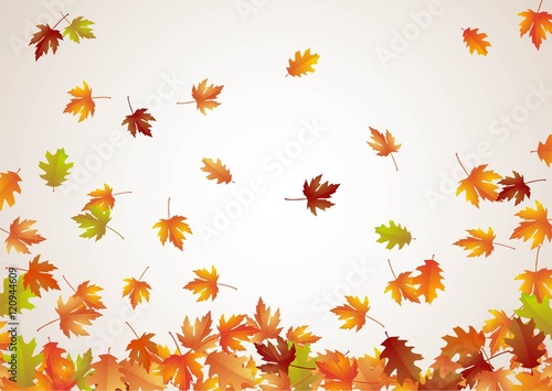 Herbst